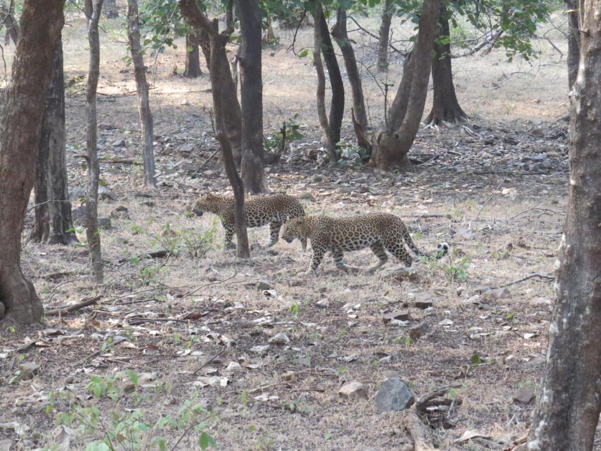 Rajputana Heritage Sawai Madhopur Eksteriør billede