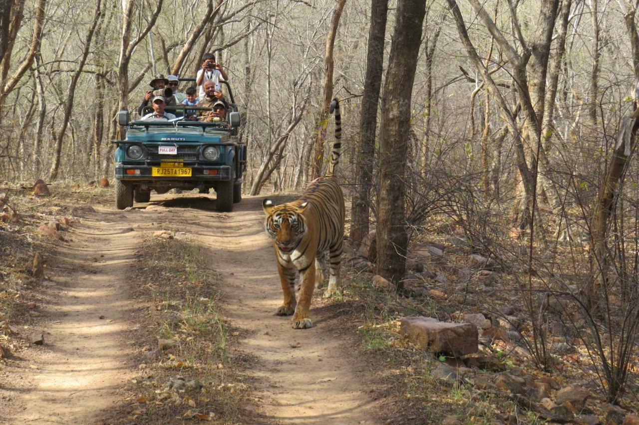 Rajputana Heritage Sawai Madhopur Eksteriør billede